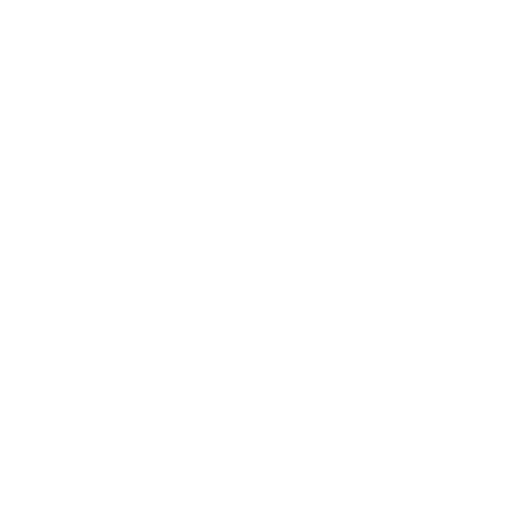 logo ford blanco