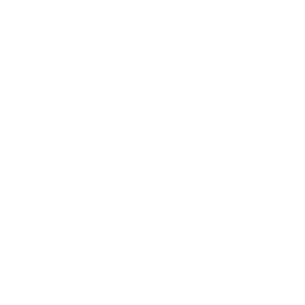 logo skoda blanco (1)